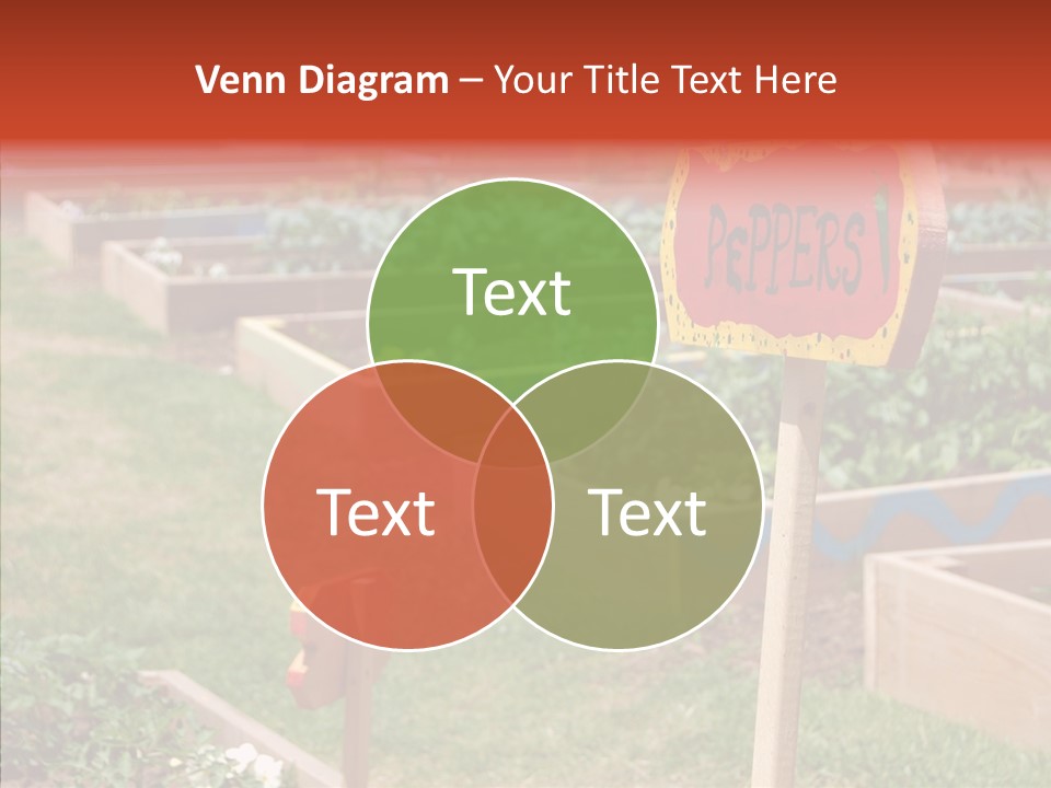 Helping Hand White Care PowerPoint Template