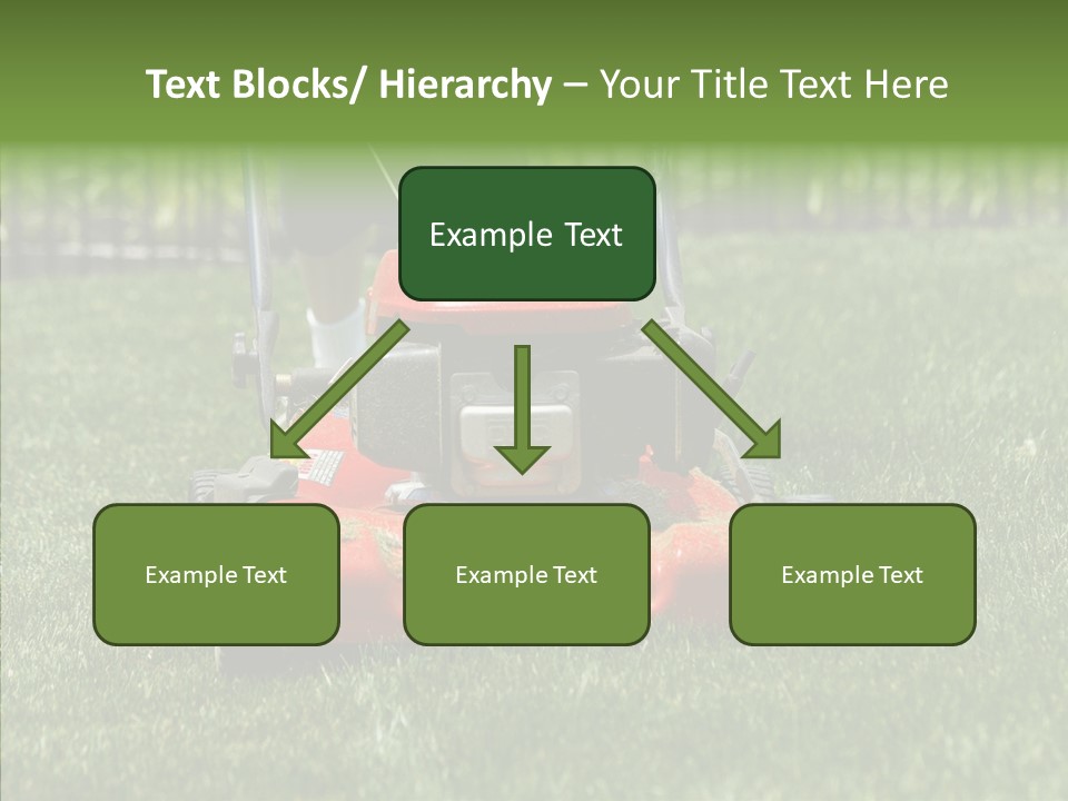 Old Women Help PowerPoint Template