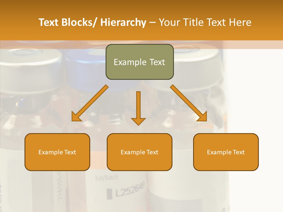 Senior  Togetherness Old PowerPoint Template