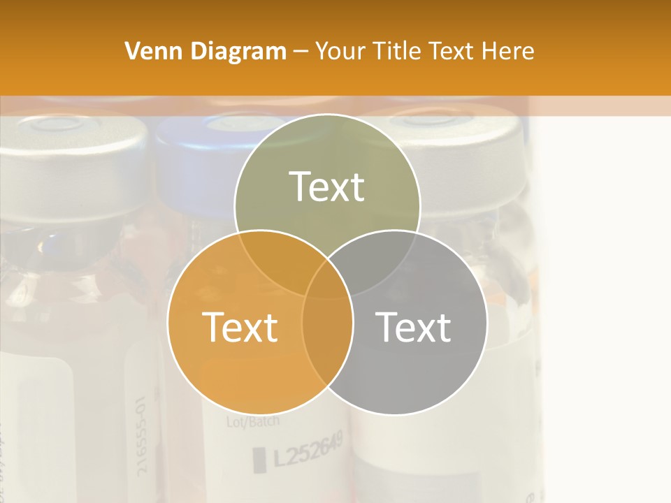 Senior  Togetherness Old PowerPoint Template