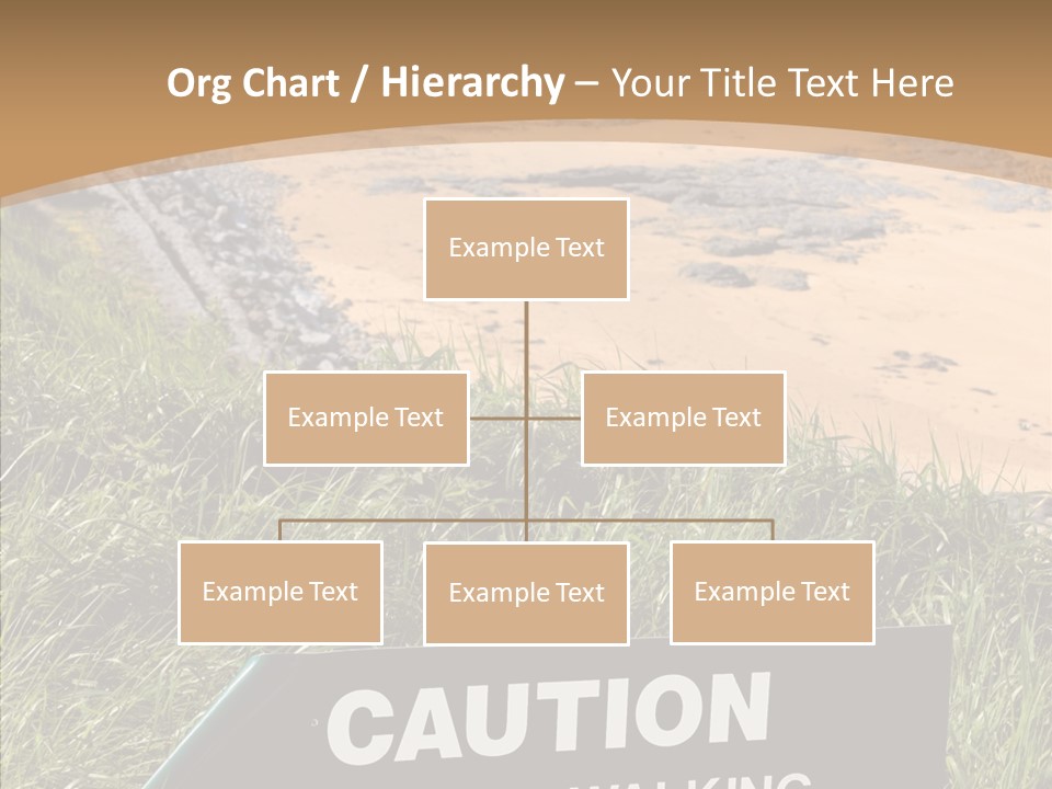 Elderly Sharing Assist PowerPoint Template