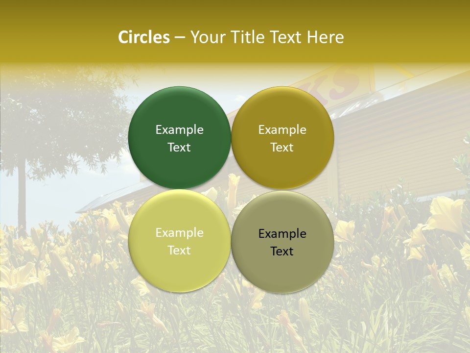 Assistance  Grandmother PowerPoint Template
