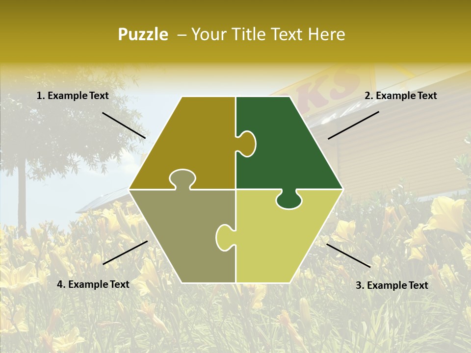 Assistance  Grandmother PowerPoint Template