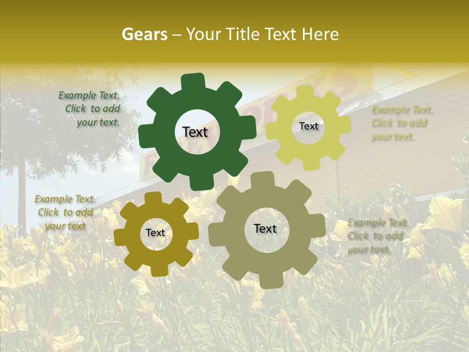Assistance  Grandmother PowerPoint Template