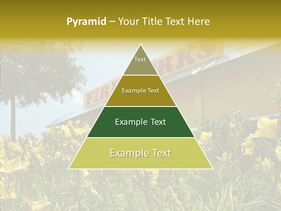 Assistance  Grandmother PowerPoint Template