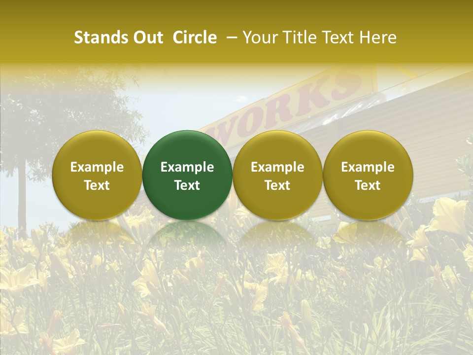 Assistance  Grandmother PowerPoint Template