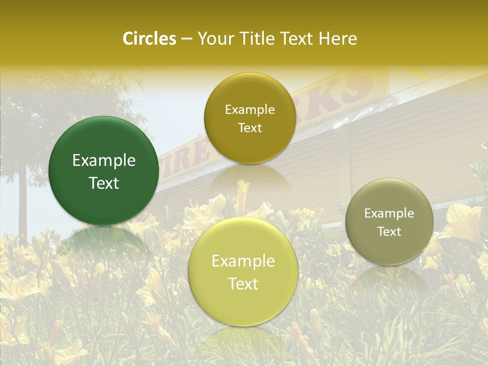 Assistance  Grandmother PowerPoint Template