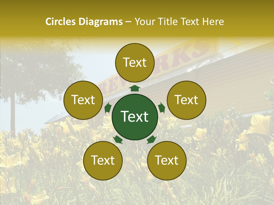 Assistance  Grandmother PowerPoint Template