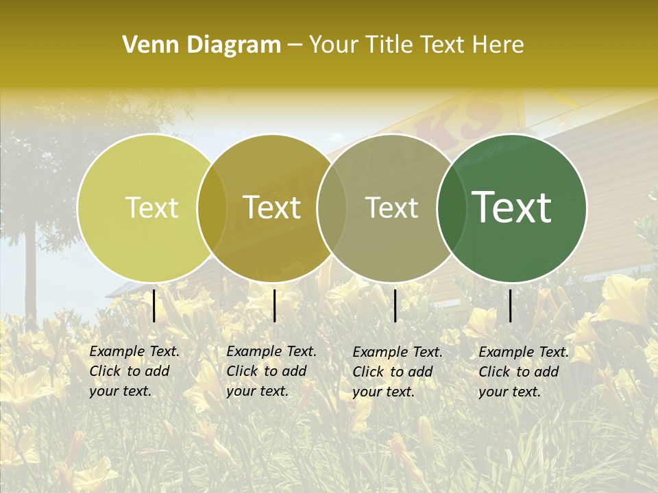 Assistance  Grandmother PowerPoint Template