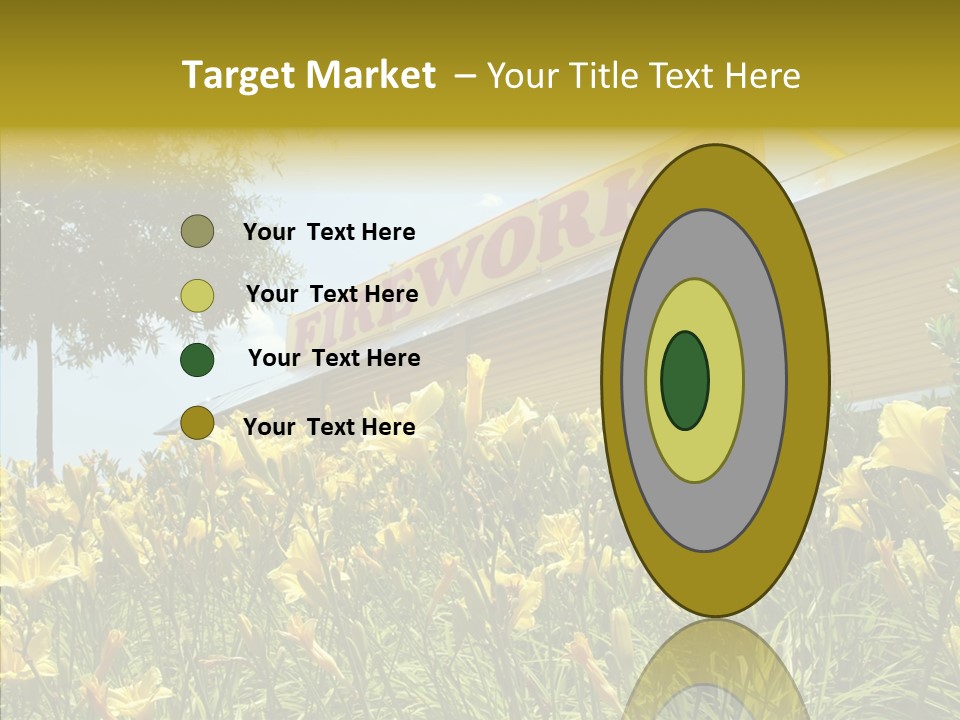Assistance  Grandmother PowerPoint Template