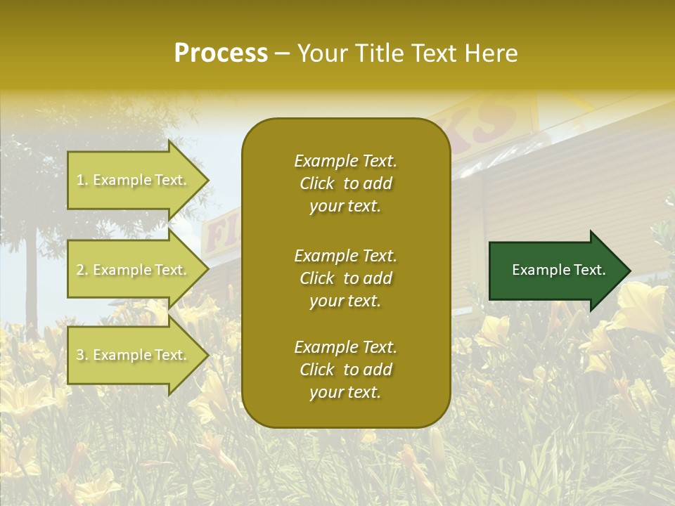 Assistance  Grandmother PowerPoint Template