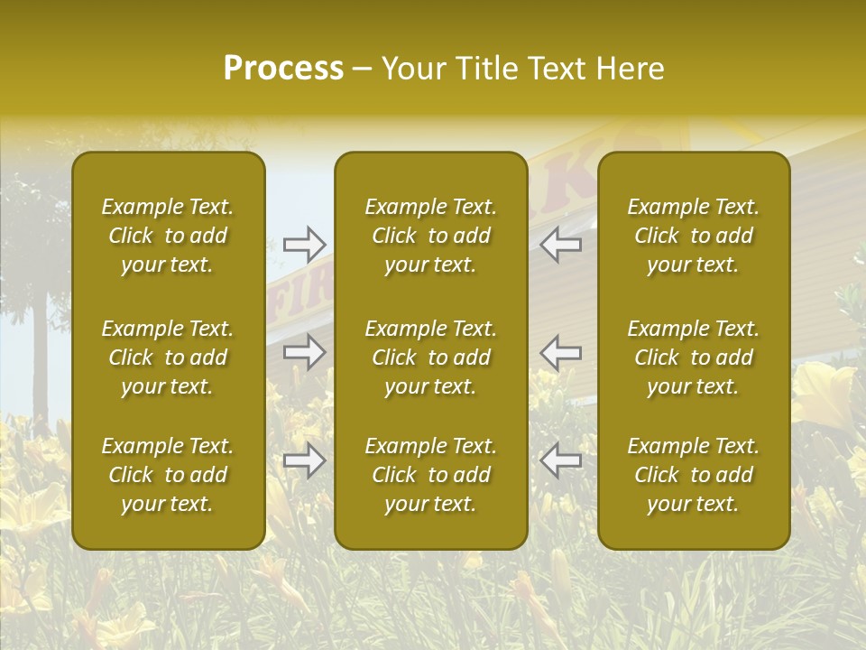 Assistance  Grandmother PowerPoint Template