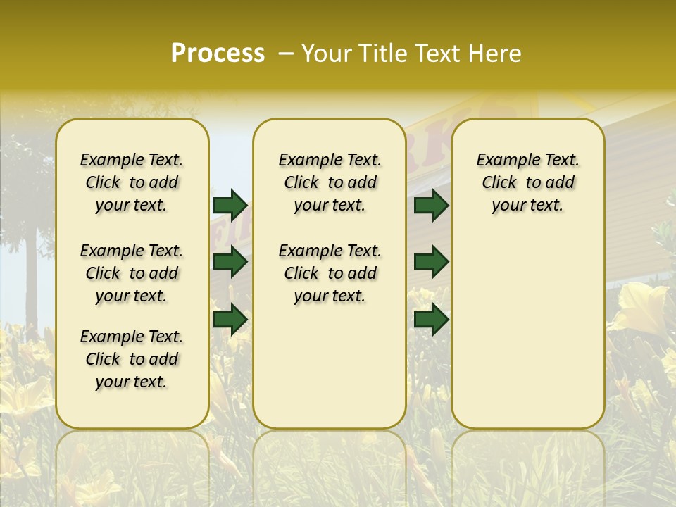 Assistance  Grandmother PowerPoint Template