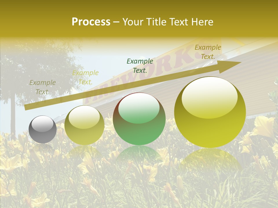 Assistance  Grandmother PowerPoint Template