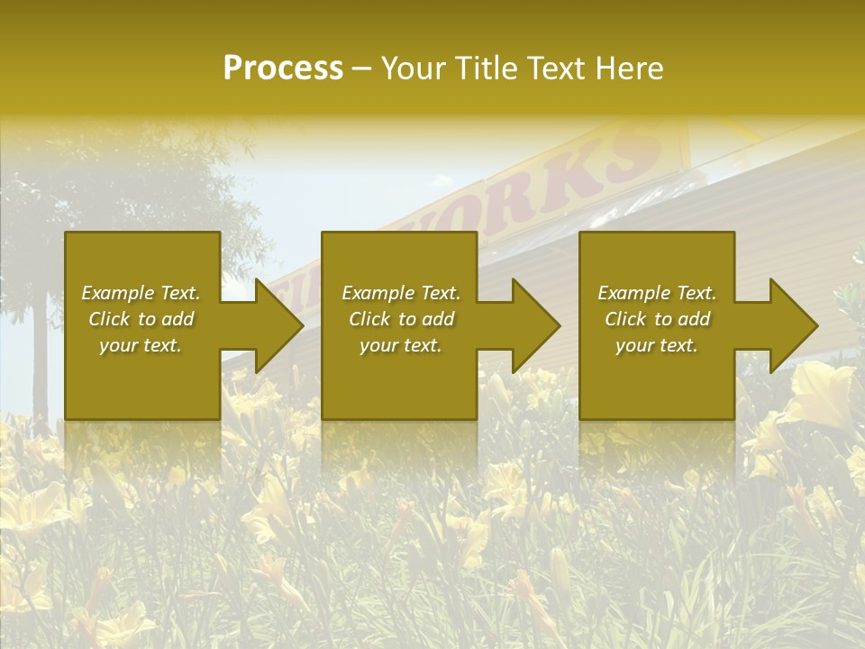 Assistance  Grandmother PowerPoint Template