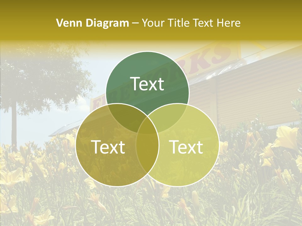 Assistance  Grandmother PowerPoint Template