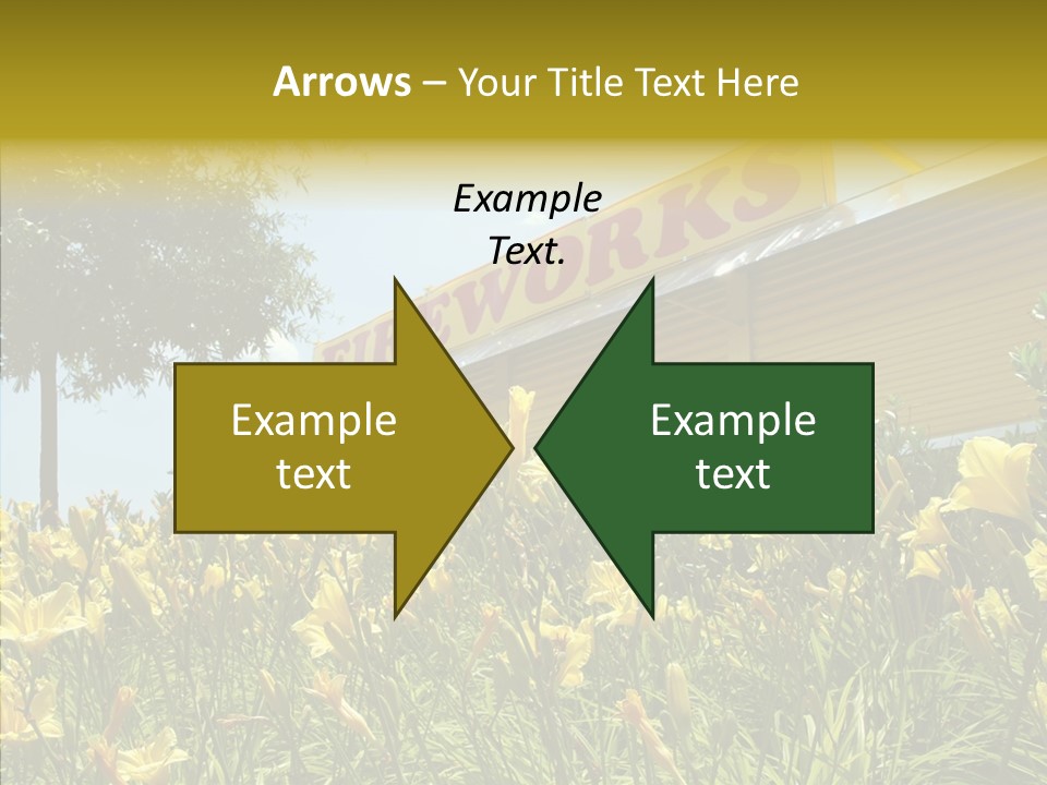 Assistance  Grandmother PowerPoint Template