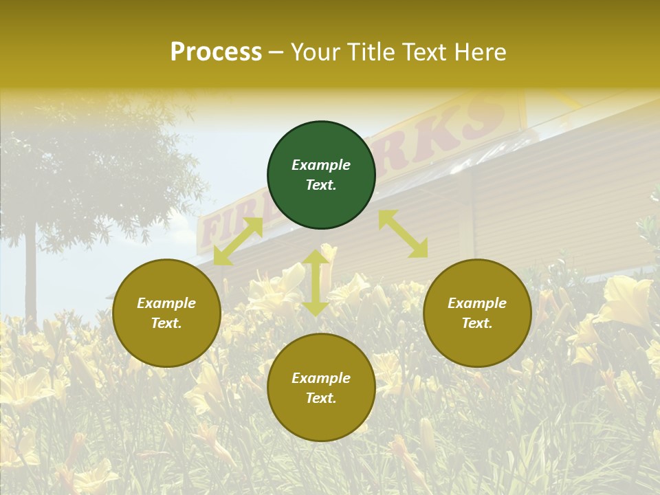 Assistance  Grandmother PowerPoint Template