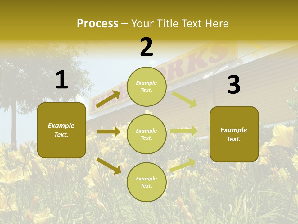 Assistance  Grandmother PowerPoint Template