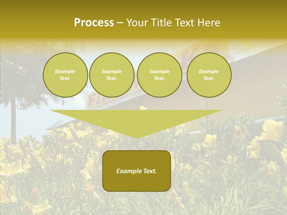 Assistance  Grandmother PowerPoint Template