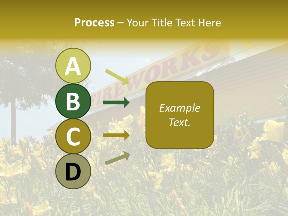 Assistance  Grandmother PowerPoint Template