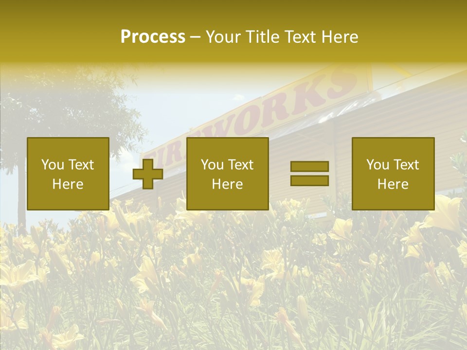 Assistance  Grandmother PowerPoint Template