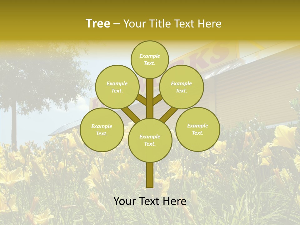 Assistance  Grandmother PowerPoint Template