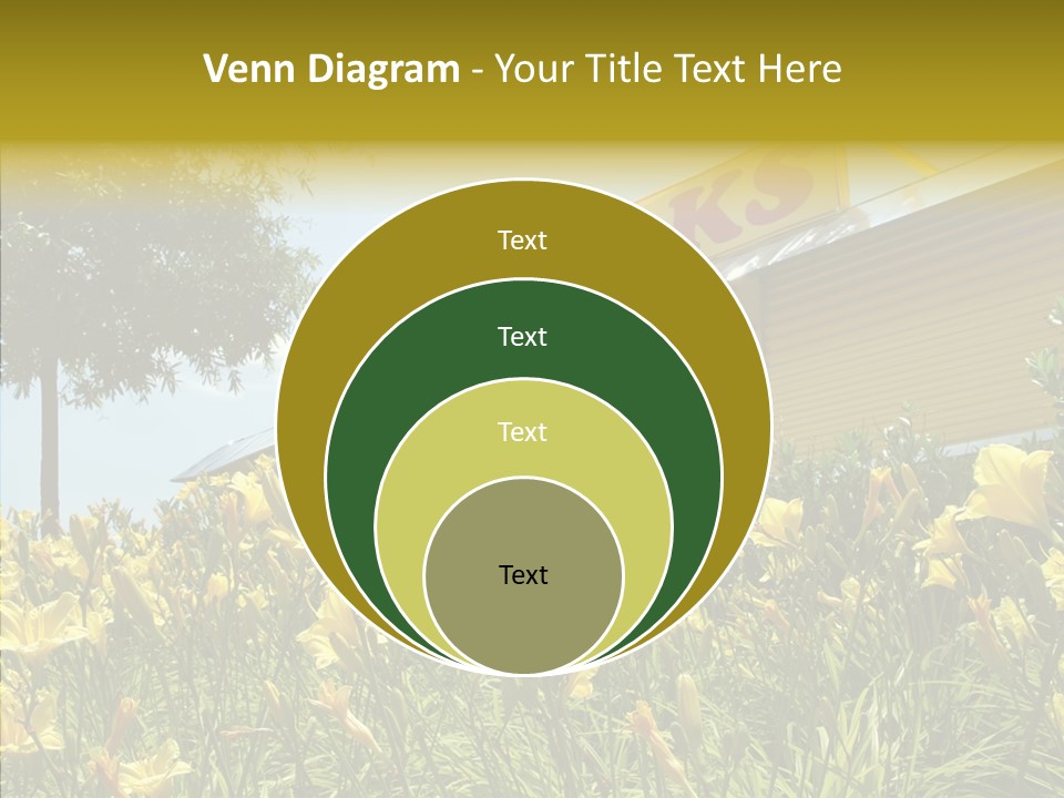 Assistance  Grandmother PowerPoint Template