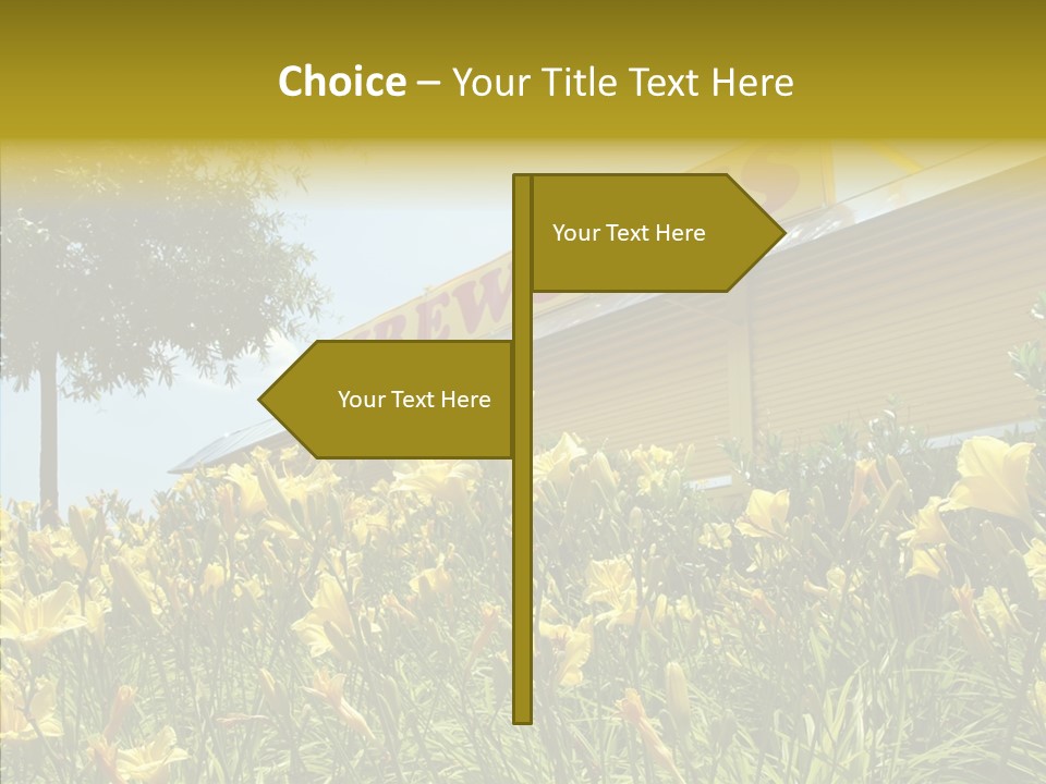 Assistance  Grandmother PowerPoint Template