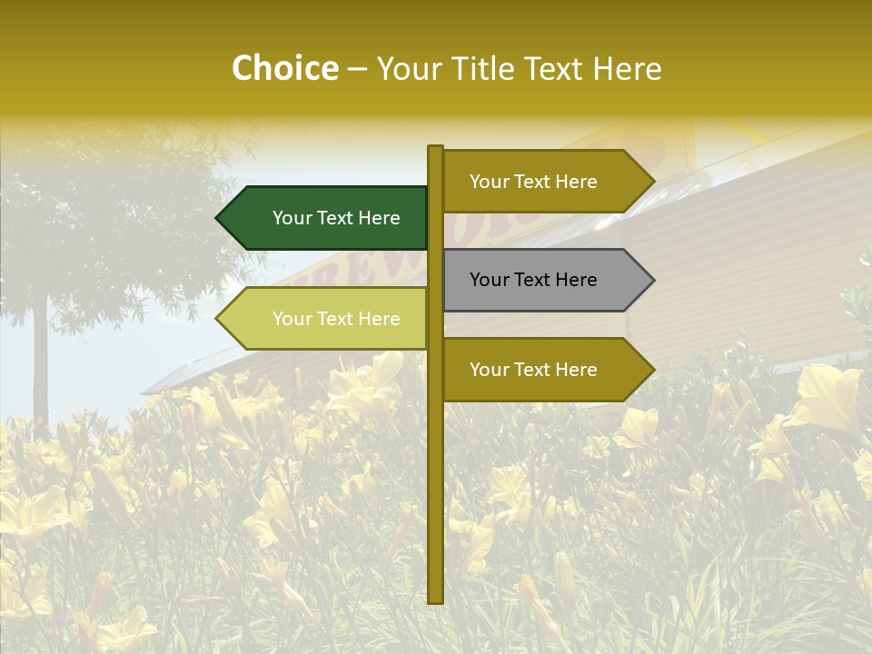 Assistance  Grandmother PowerPoint Template