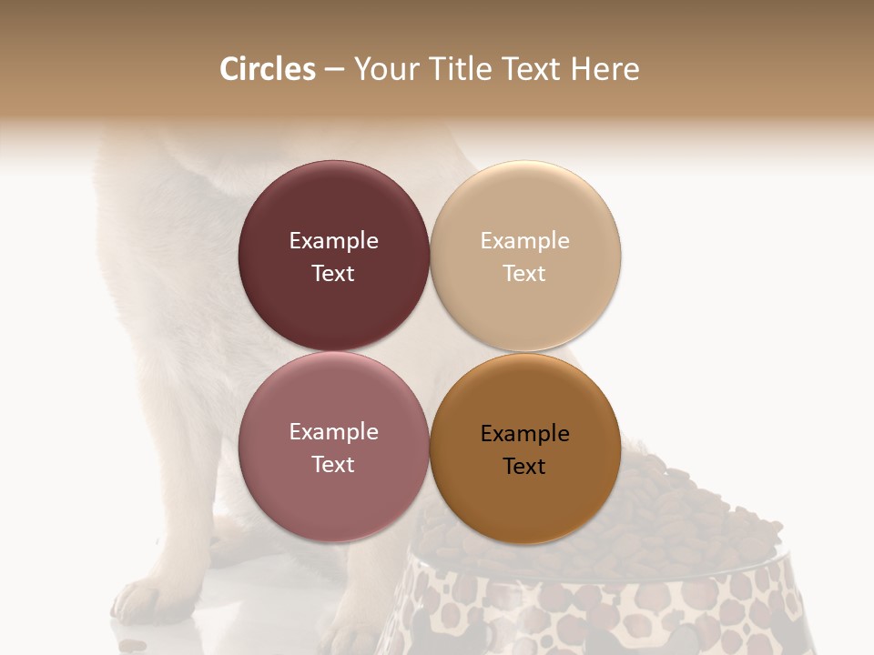 Adult Sharing Assist PowerPoint Template