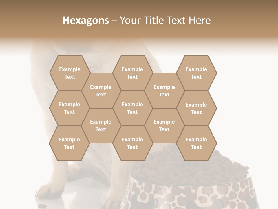 Adult Sharing Assist PowerPoint Template