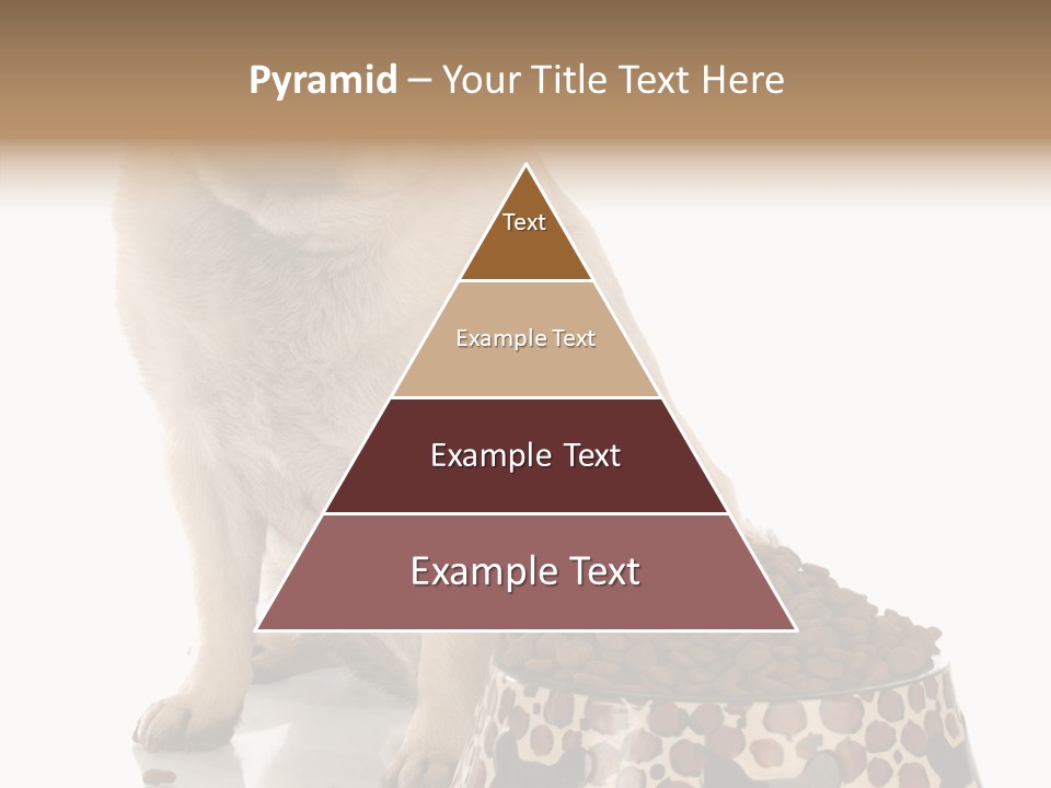 Adult Sharing Assist PowerPoint Template