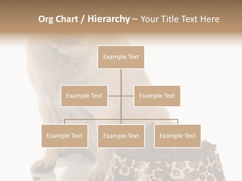 Adult Sharing Assist PowerPoint Template