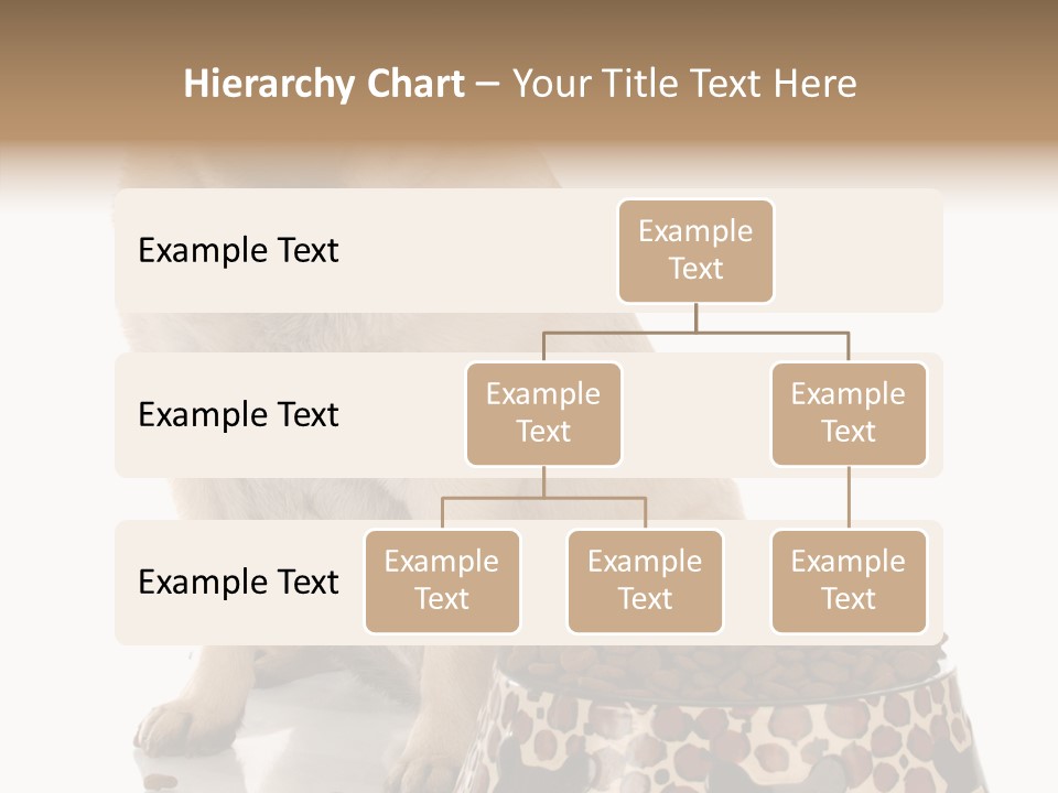 Adult Sharing Assist PowerPoint Template