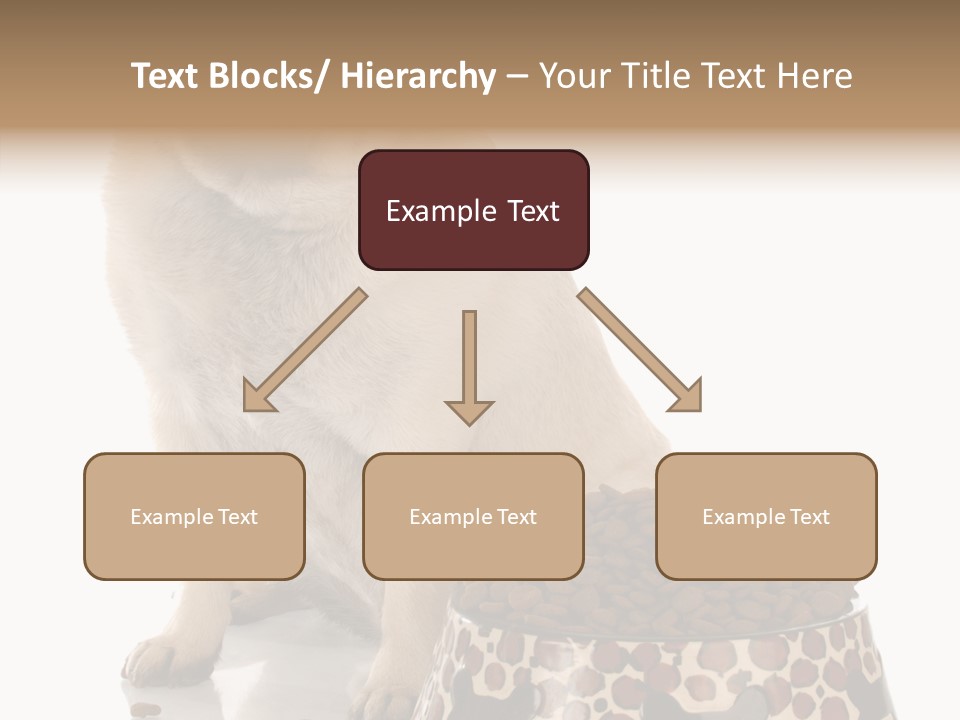 Adult Sharing Assist PowerPoint Template