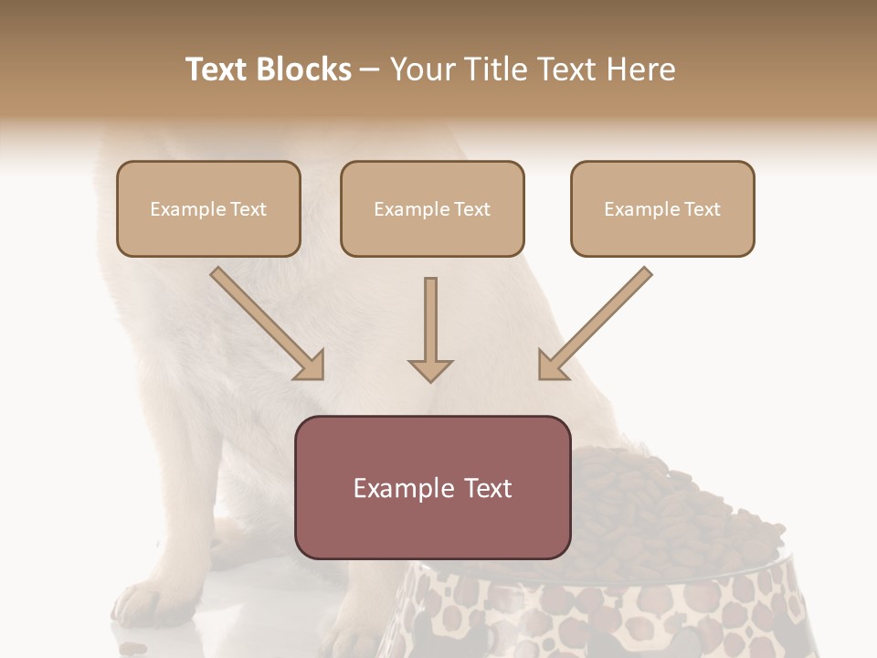 Adult Sharing Assist PowerPoint Template