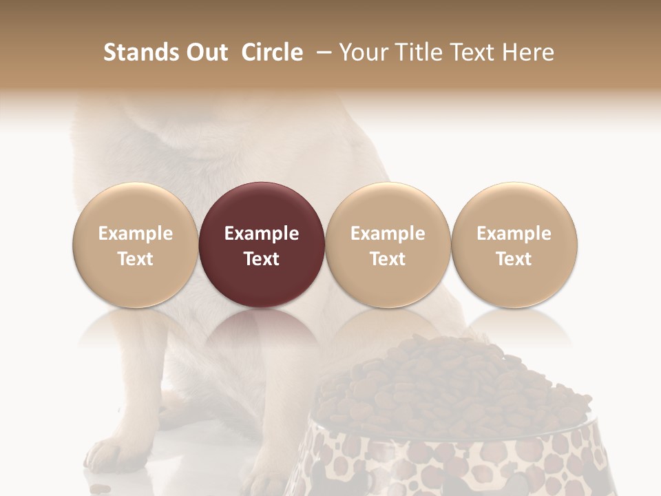 Adult Sharing Assist PowerPoint Template