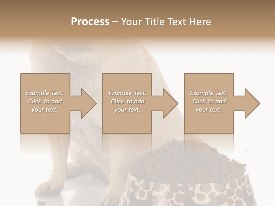 Adult Sharing Assist PowerPoint Template