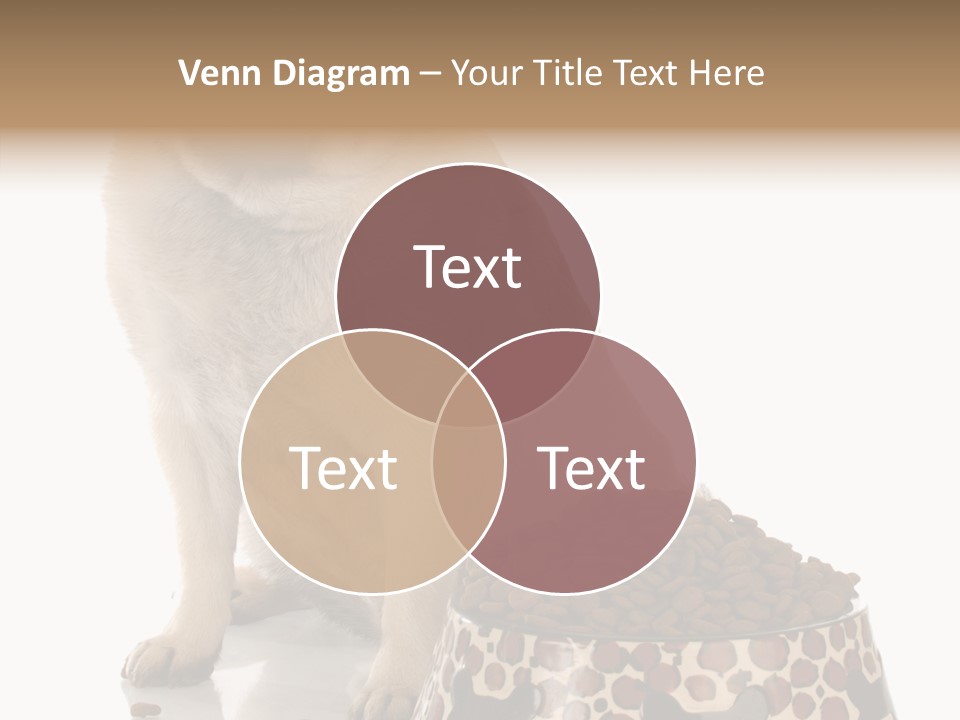 Adult Sharing Assist PowerPoint Template