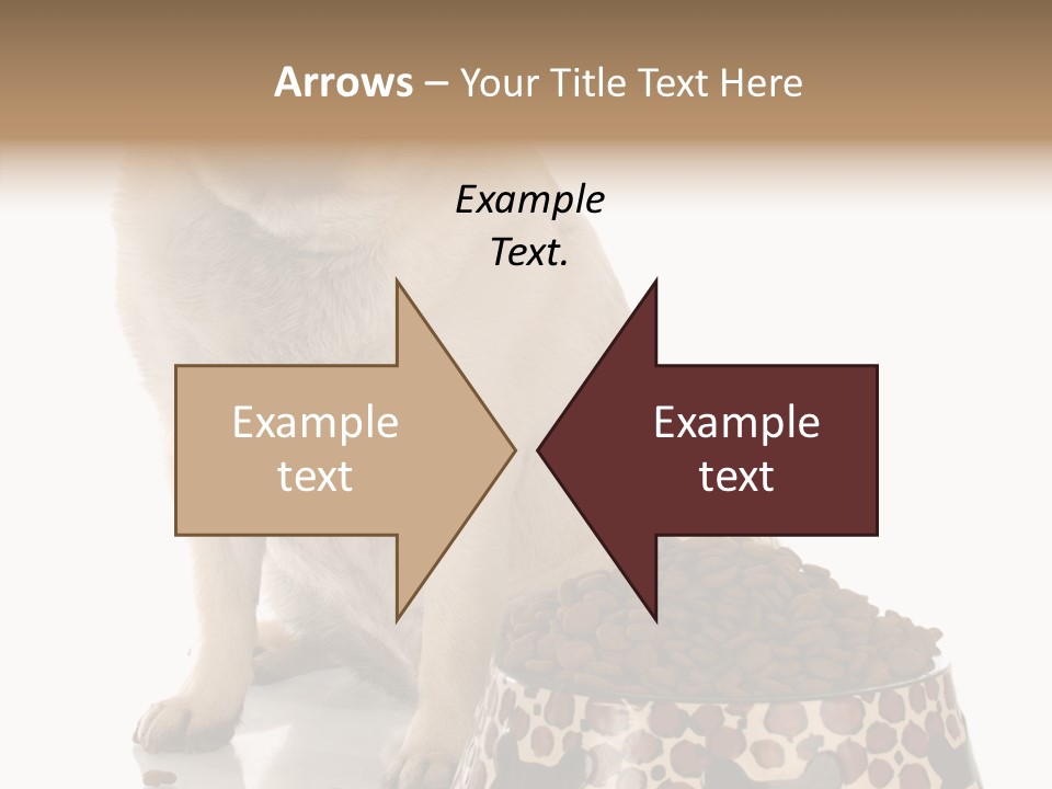 Adult Sharing Assist PowerPoint Template