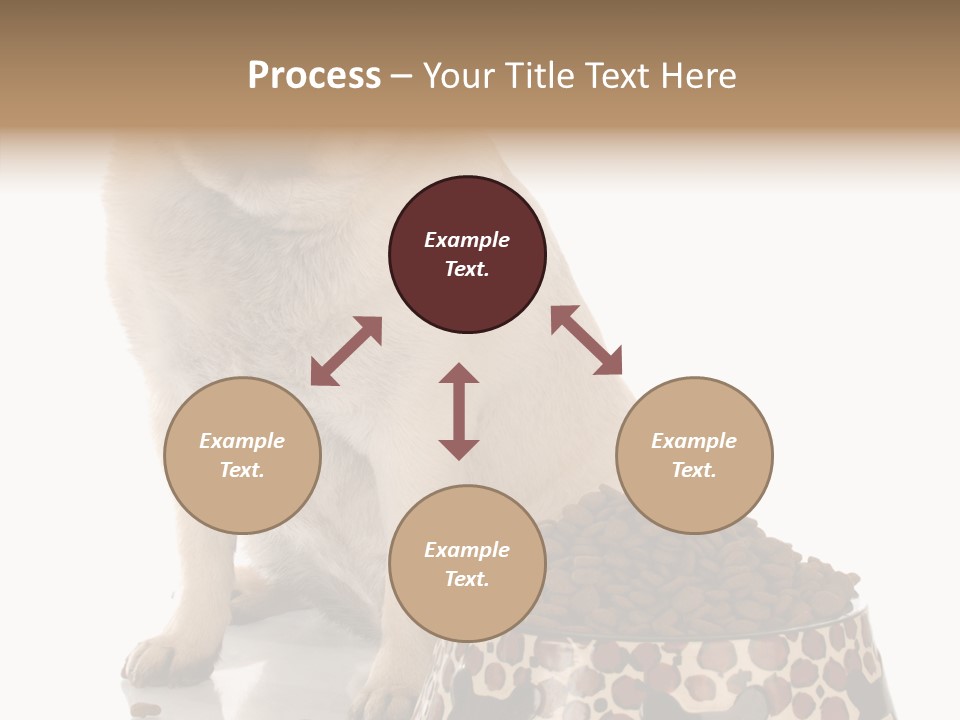 Adult Sharing Assist PowerPoint Template