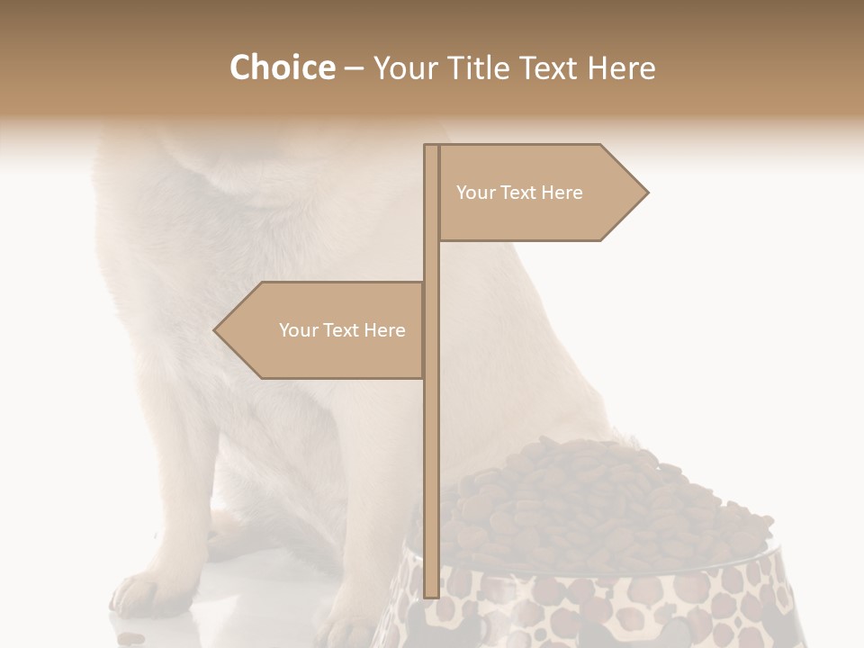 Adult Sharing Assist PowerPoint Template