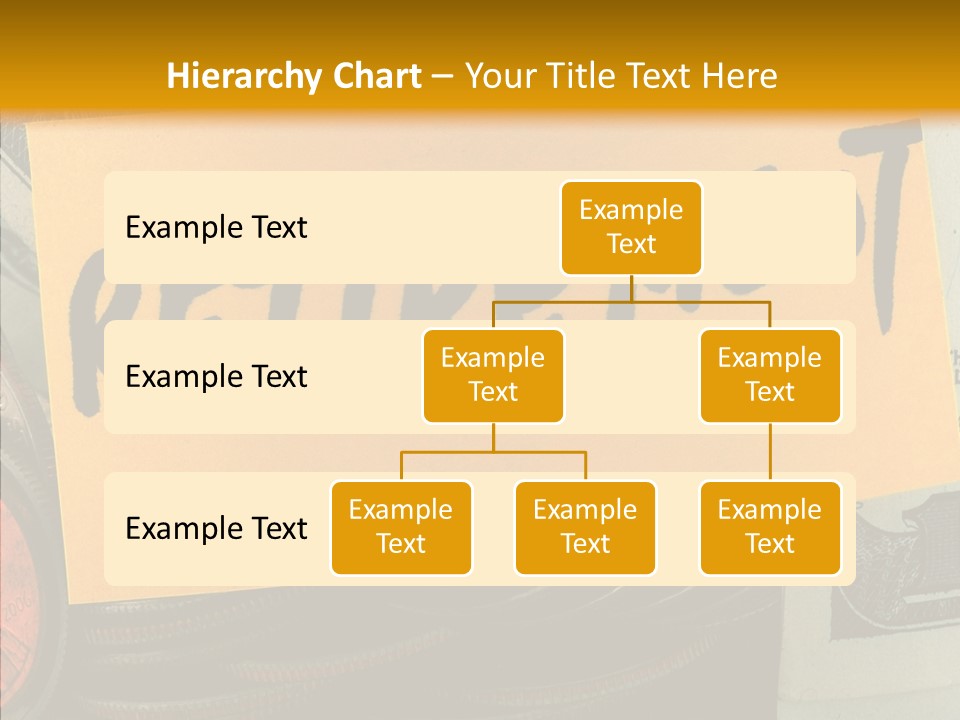 Senior  Touching  PowerPoint Template