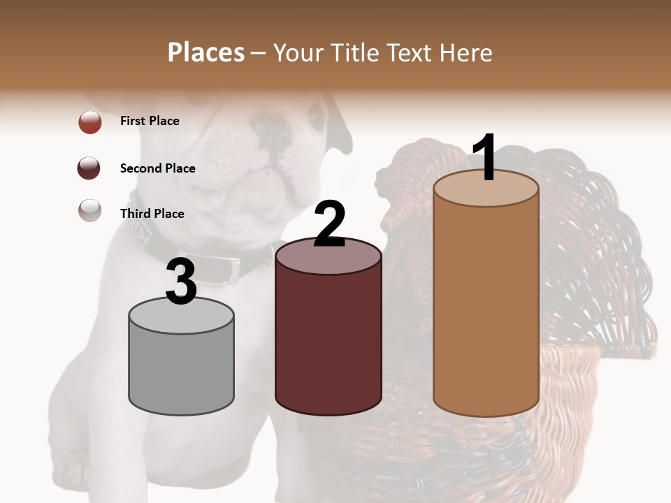 Helping Hand Care Senior PowerPoint Template