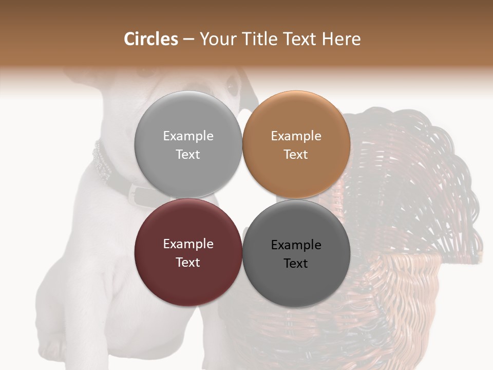 Helping Hand Care Senior PowerPoint Template