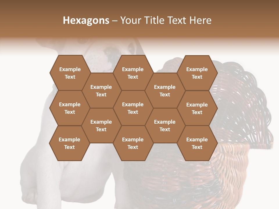 Helping Hand Care Senior PowerPoint Template