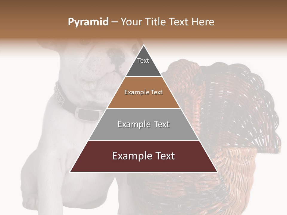 Helping Hand Care Senior PowerPoint Template