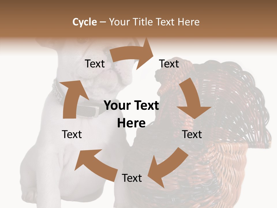 Helping Hand Care Senior PowerPoint Template