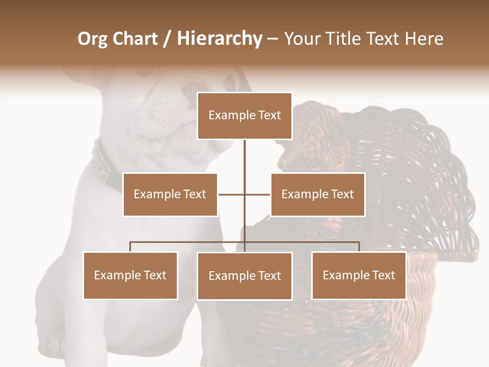 Helping Hand Care Senior PowerPoint Template